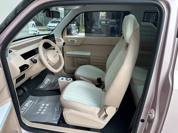 Geely Galaxy Panda Mini, 2023 — фото 6 из 9
