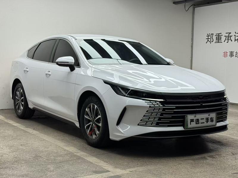 BYD Destroyer 05, 2024 — фото 3 из 12