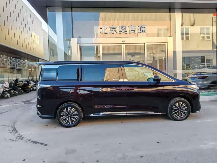 Hongqi HQ9 Hybrid, 2024 — фото 8 из 9