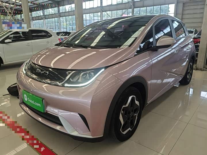 BYD Dolphin, 2022 — купить в Самаре под ключ