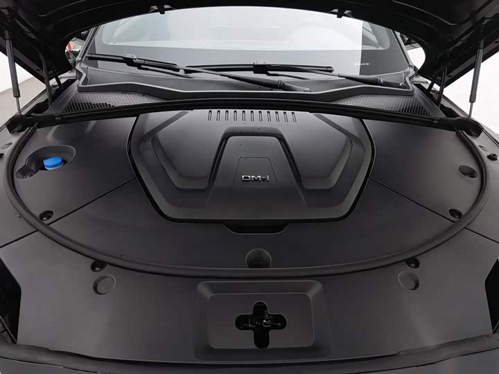 BYD Song Plus Hybrid/EV, 2024 — фото 6 из 9
