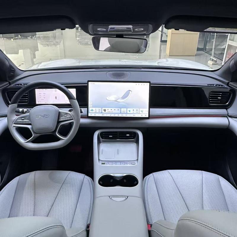 BYD Sea Lion 06 Hybrid/EV, 2025 — фото 7 из 11