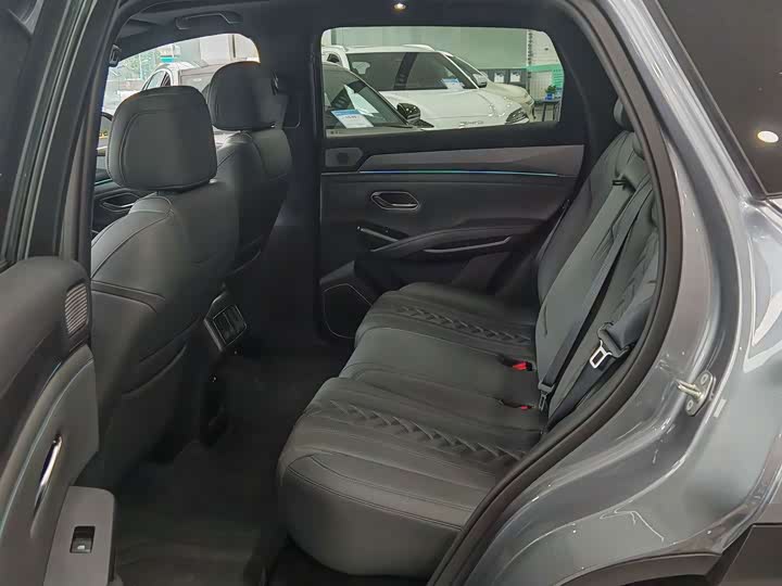 BYD Song L DM-i Hybrid, 2024 — фото 8 из 9