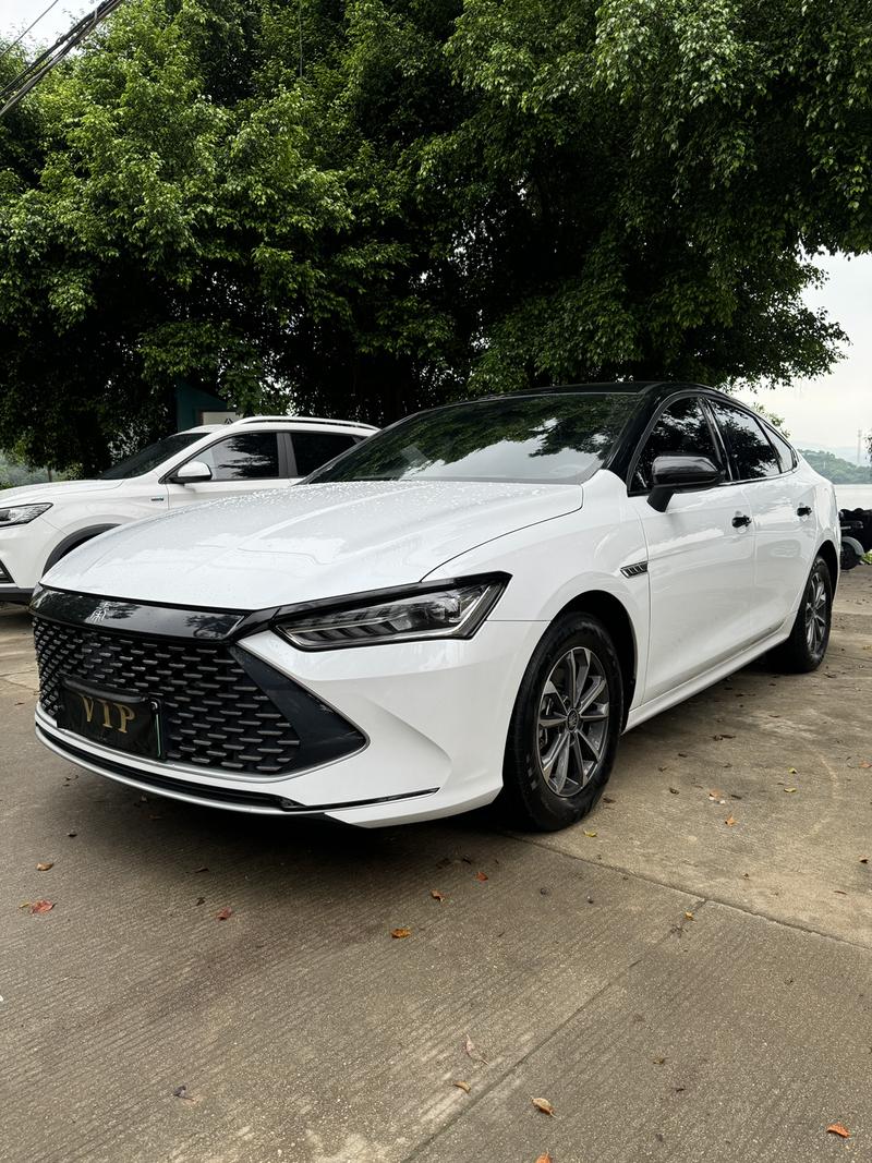 BYD Qin Plus, 2024 — купить в Санкт-Петербурге под ключ