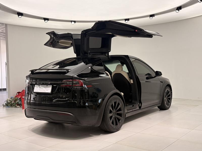 Tesla Model X, 2023 — фото 6 из 11