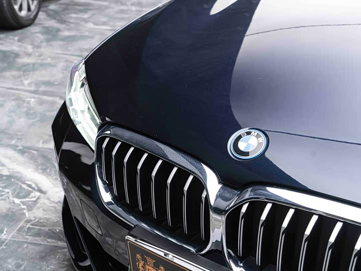 BMW 5 Series Hybrid, 2022 — фото 2 из 9
