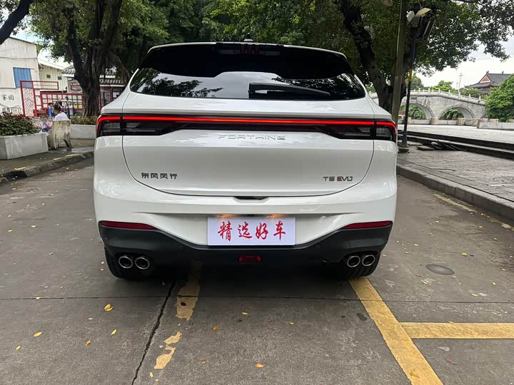 Dongfeng Forthing T5 EVO, 2022 — фото 5 из 9