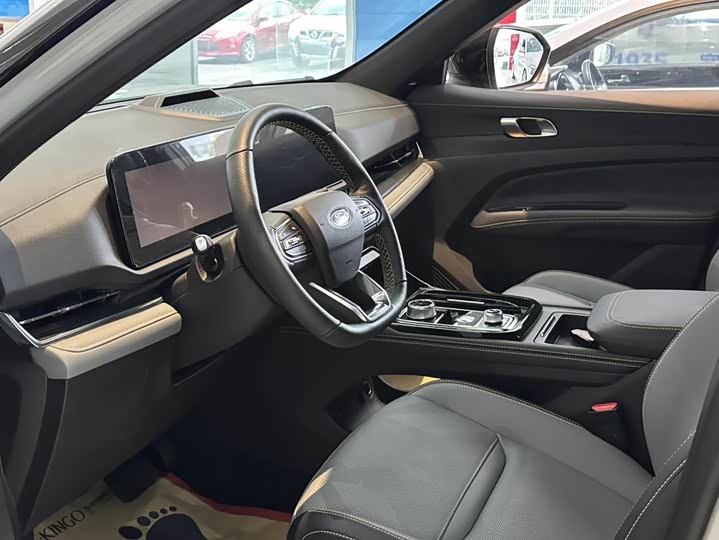 Ford Equator Sport Hybrid, 2024 — фото 6 из 9