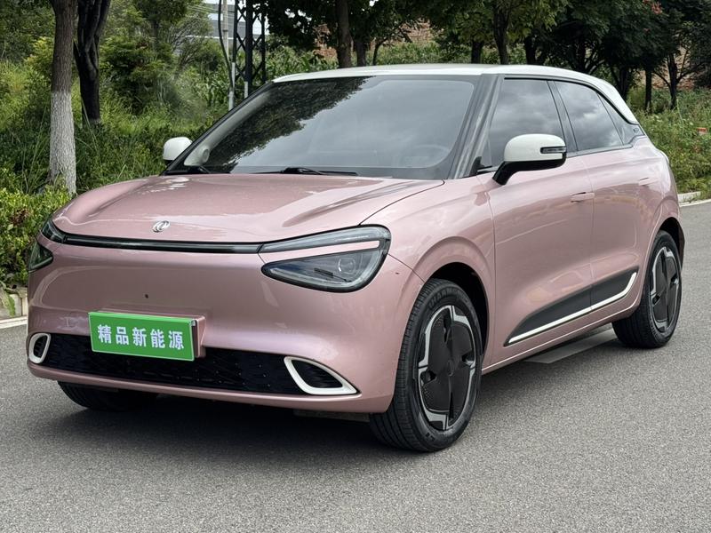 Dongfeng Yipai Nano 01, 2024 — купить в Туле под ключ