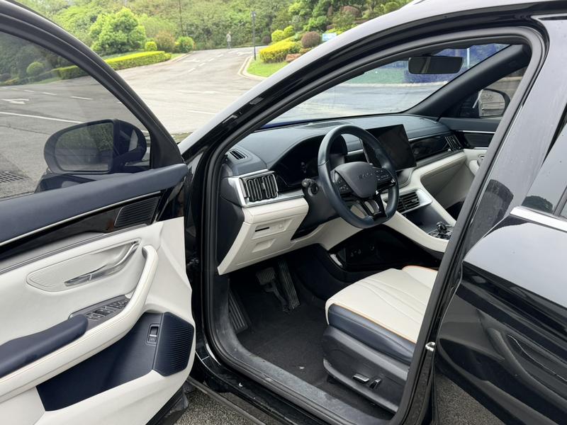BYD Song Plus Hybrid/EV, 2024 — фото 9 из 11
