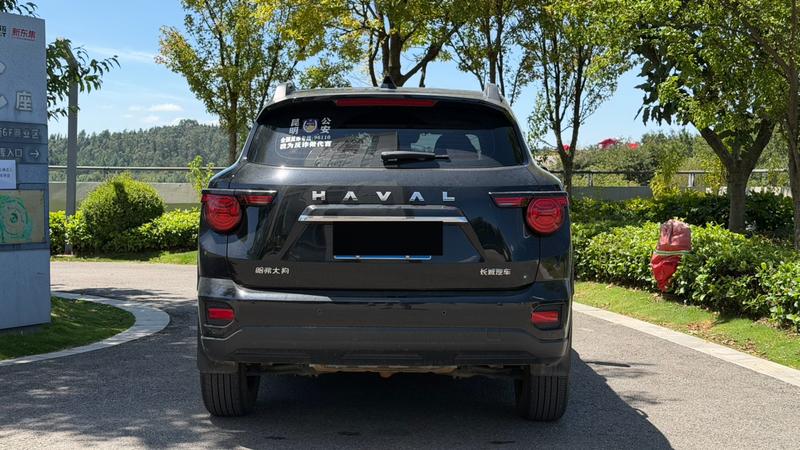 Haval H-Dog, 2023 — фото 5 из 11
