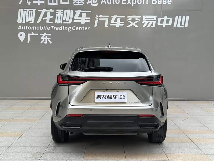 Lexus NX, 2022 — фото 5 из 9