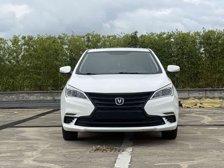 Changan Eado DT, 2021 — фото 2 из 9