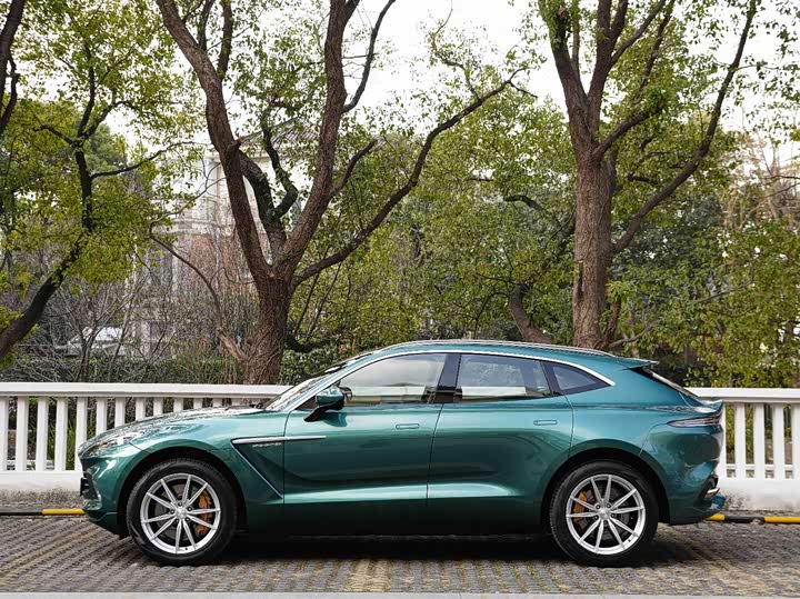 Aston Martin DBX, 2023 — фото 8 из 9