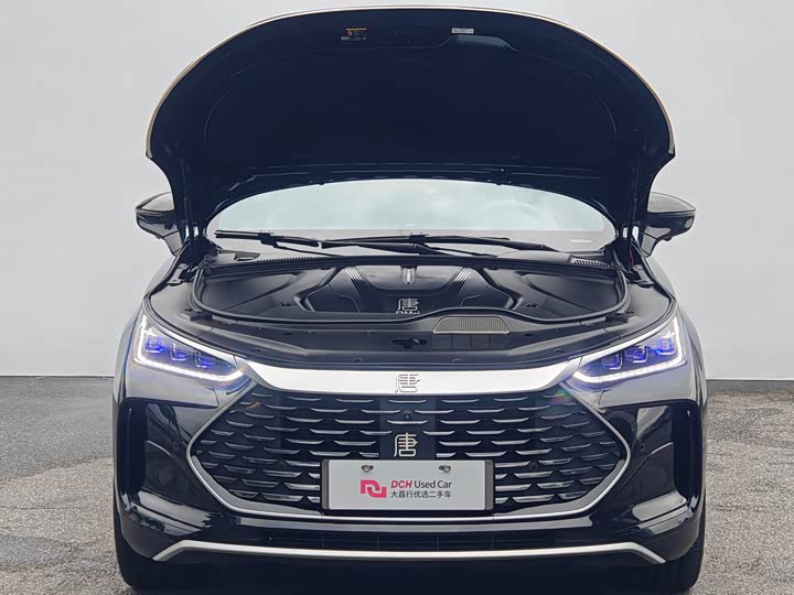 BYD Tang Hybrid/EV, 2024 — фото 7 из 9