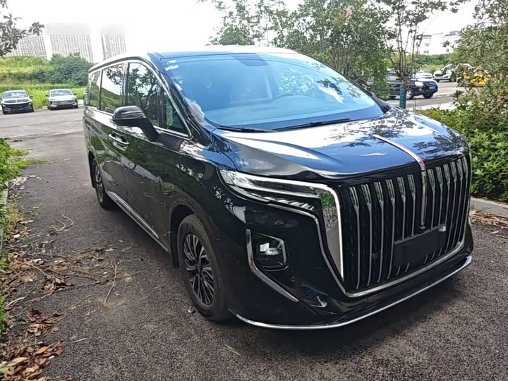 Hongqi HQ9 Hybrid, 2024 — фото 4 из 9