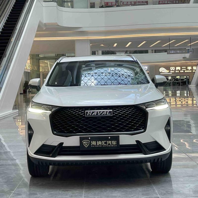 Haval H6, 2021 — фото 2 из 12
