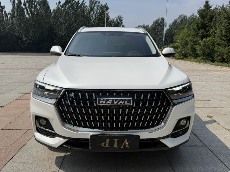 Haval H6, 2023 — фото 2 из 12