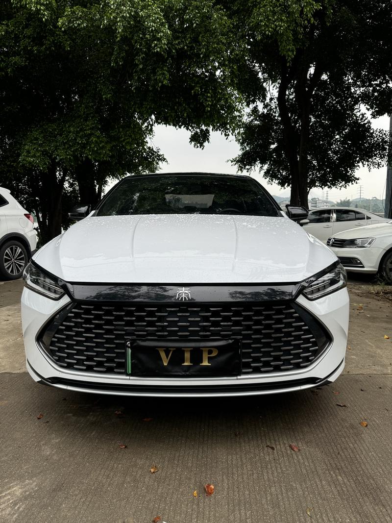 BYD Qin Plus, 2024 — фото 2 из 10
