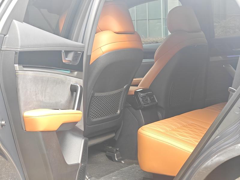 BYD Tang Hybrid/EV, 2023 — фото 11 из 12