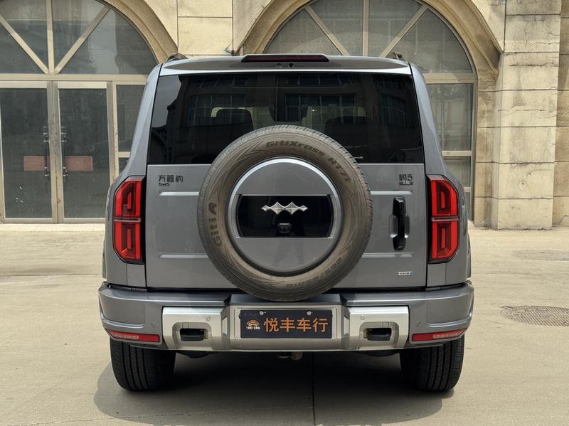 BYD FangChengBao Leopard 5, 2024 — фото 5 из 11