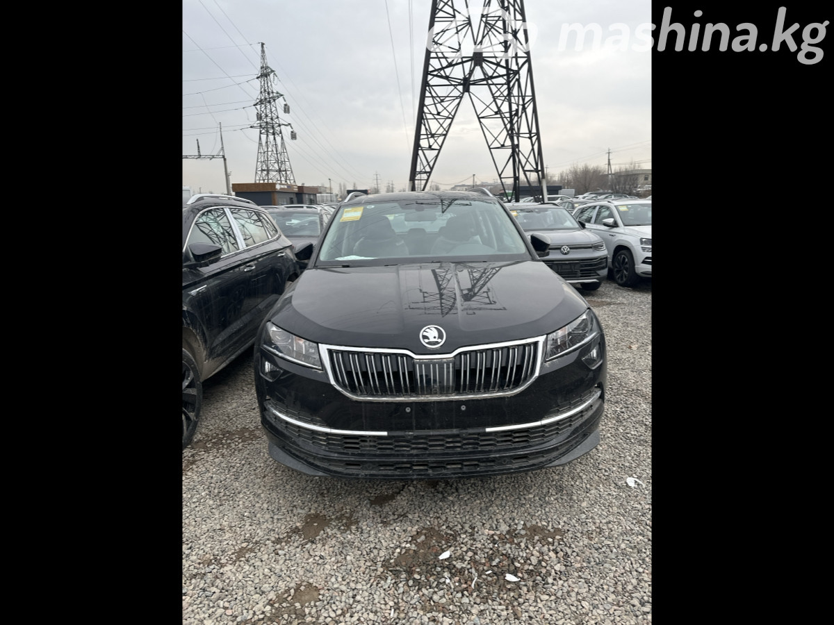 Skoda Karoq, 2025