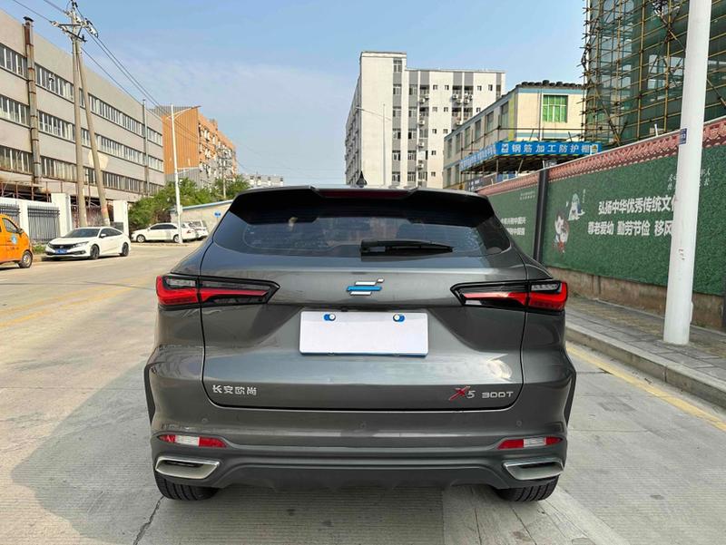 Changan Oshan X5, 2021 — фото 5 из 11