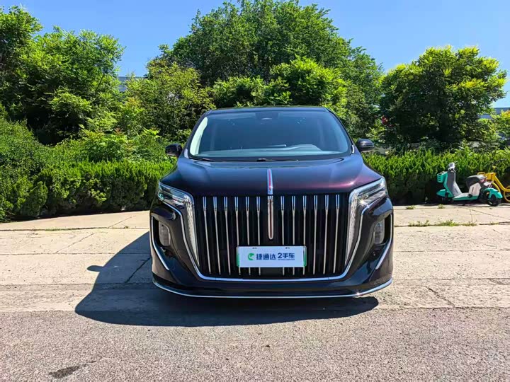 Hongqi HQ9 Hybrid, 2024 — фото 5 из 9