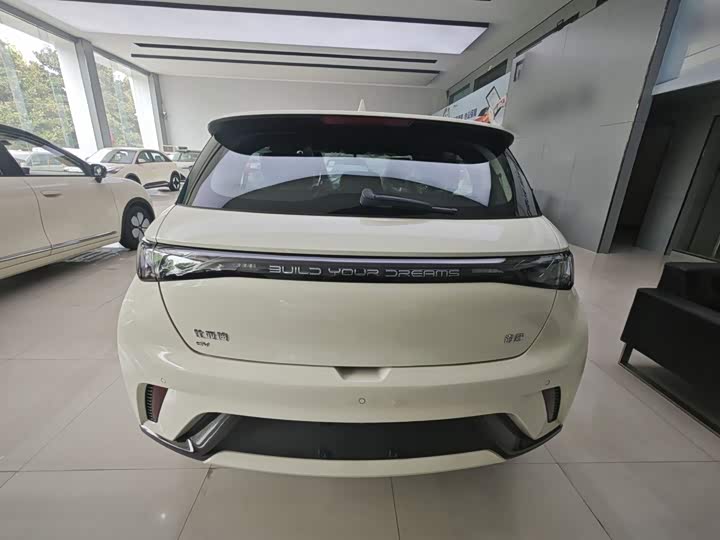BYD Dolphin, 2026 — фото 6 из 9