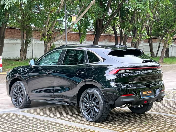 Dongfeng Forthing T5 EVO, 2022 — фото 8 из 9
