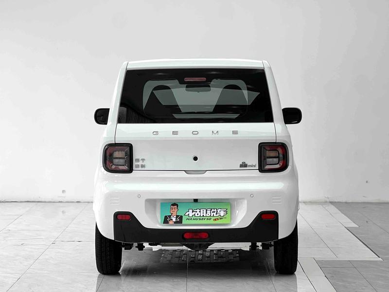 Geely Galaxy Panda Mini, 2024 — фото 4 из 12