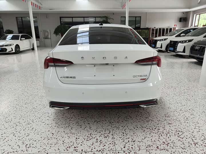 Skoda Octavia Pro, 2023 — фото 5 из 9