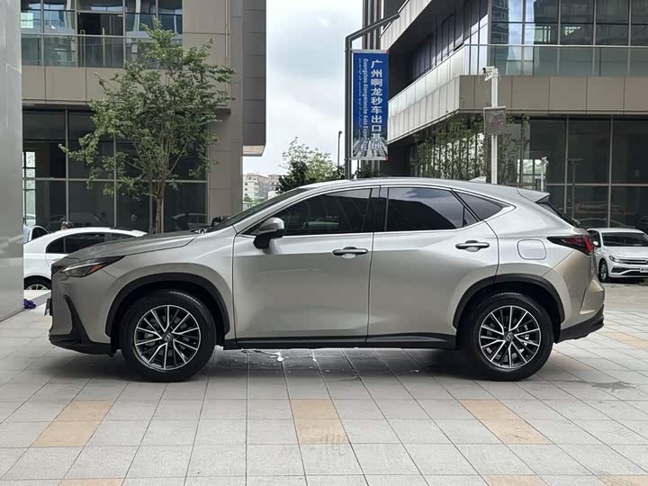 Lexus NX, 2022 — фото 4 из 9