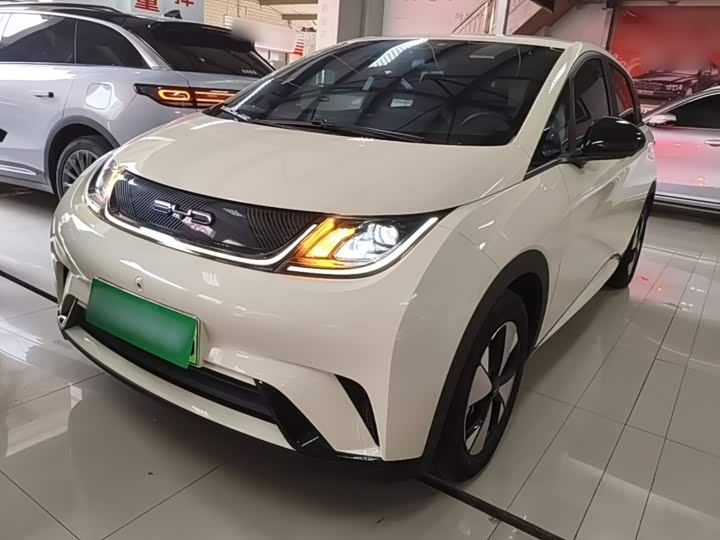 BYD Dolphin, 2023 — купить в Самаре под ключ