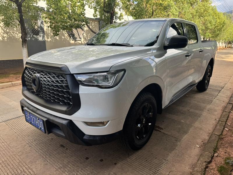 Great Wall Pao, 2021 — купить в Санкт-Петербурге под ключ