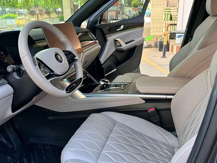 BYD Tang Hybrid/EV, 2023 — фото 6 из 9