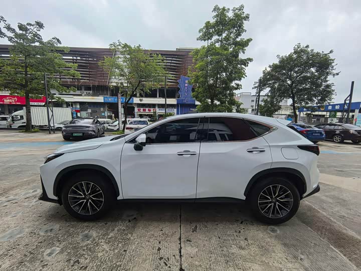 Lexus NX, 2026 — фото 4 из 9