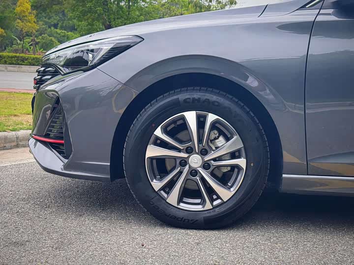 Changan Eado Plus, 2023 — фото 6 из 9