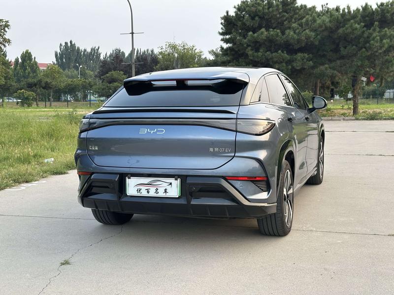 BYD Sea Lion 07 EV, 2024 — фото 7 из 12