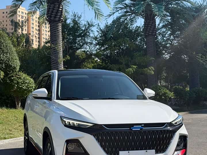Changan Oshan X7 Plus, 2023 — фото 3 из 9