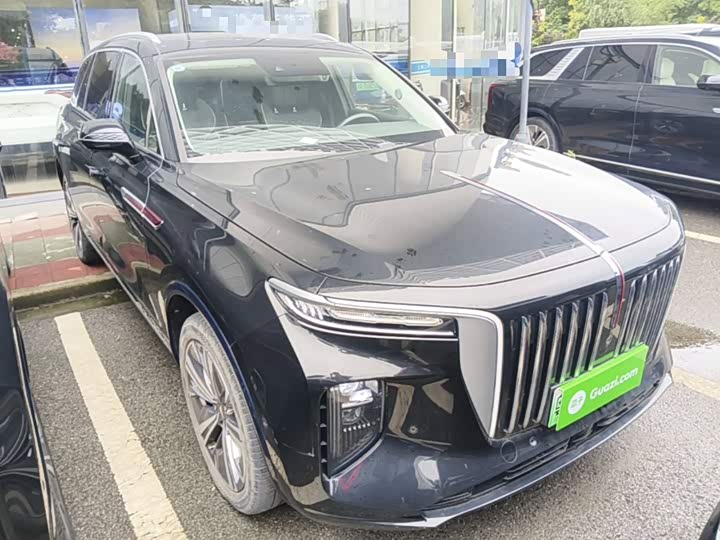 Hongqi E-HS9, 2023 — фото 4 из 9