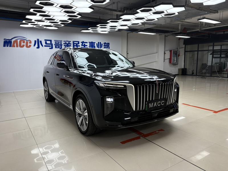 Hongqi E-HS9, 2023 — фото 3 из 10