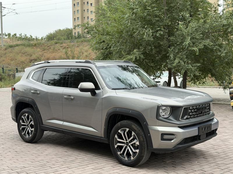 Haval H-Dog, 2023 — фото 3 из 10