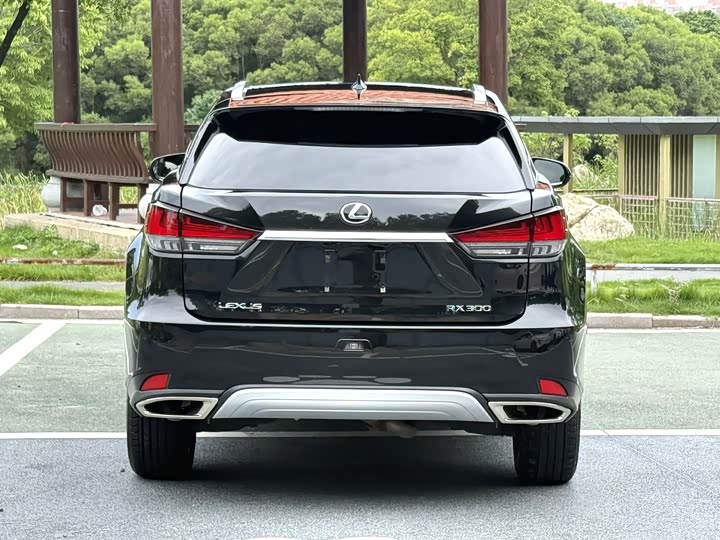 Lexus RX, 2022 — фото 7 из 9