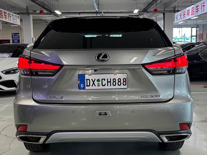 Lexus RX, 2022 — фото 5 из 9