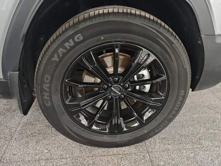 Haval Raptor Hybrid, 2024 — фото 6 из 9