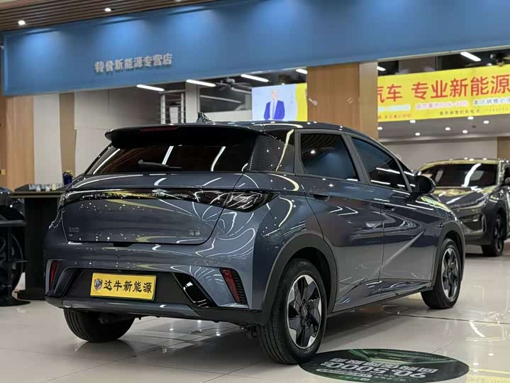 BYD Dolphin, 2025 — фото 6 из 9