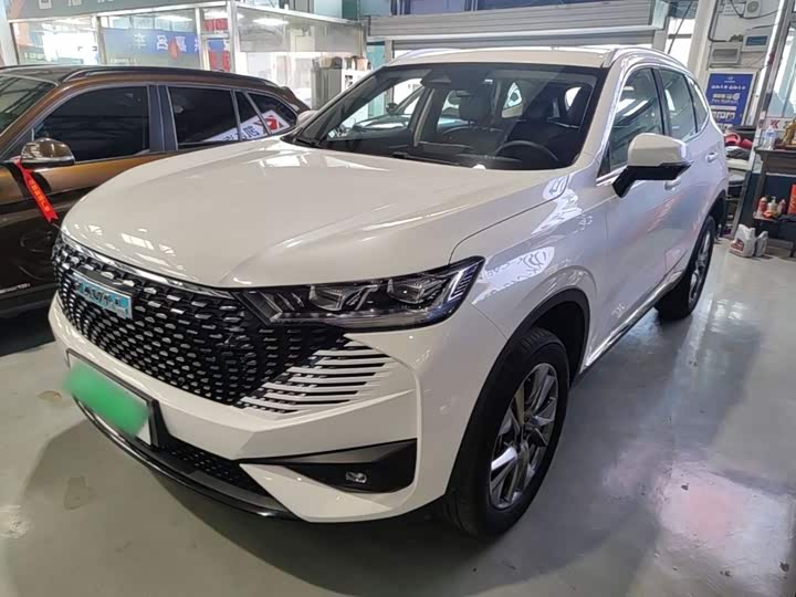 Haval H6 Hybrid, 2022 — фото 2 из 9