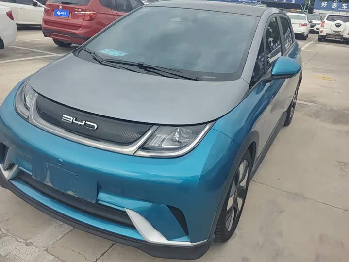 BYD Dolphin, 2021 — купить в Москве под ключ