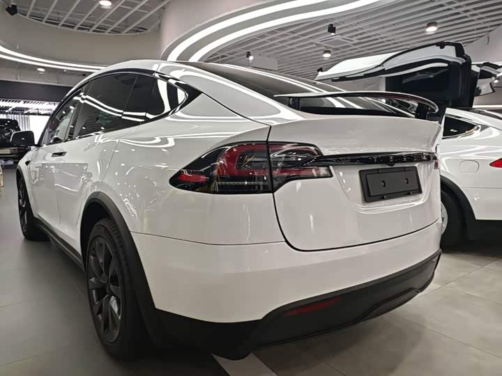 Tesla Model X, 2023 — фото 5 из 9